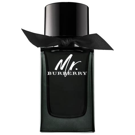 mr burberry fragrance|mr burberry perfume 50ml.